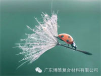 【博皓感悟】成功，要“借力”，不要“盡力”